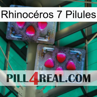 Rhinocéros 7 Pilules 15
